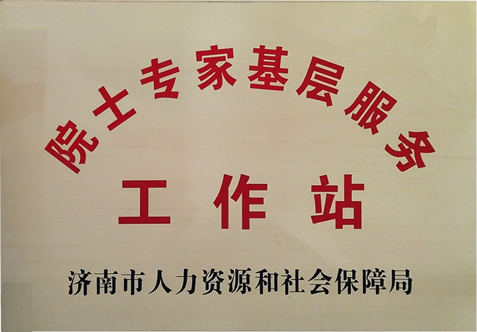 院士專(zhuān)家基層服務(wù)工作站